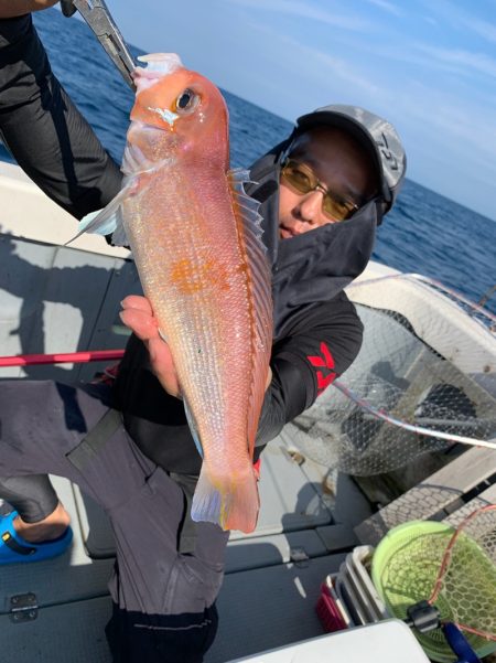 エヌスタイル 釣果