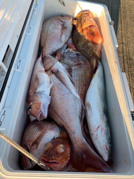 エヌスタイル 釣果