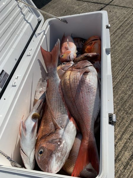 エヌスタイル 釣果