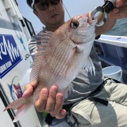 新幸丸 釣果