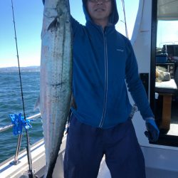 ビッグファイター 釣果