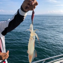 末広丸(熊本) 釣果