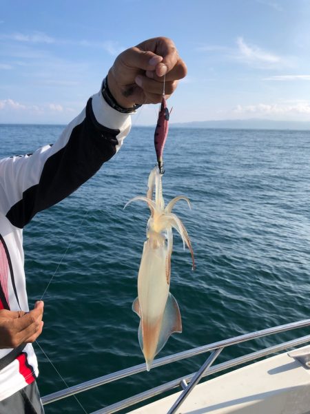 末広丸(熊本) 釣果