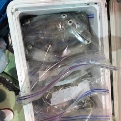 海龍丸（石川） 釣果