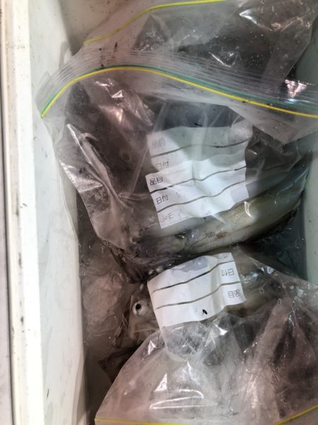 海龍丸（石川） 釣果