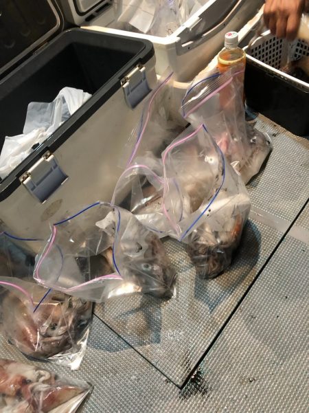 ＴＡＲＯＭＡＲＵ 釣果