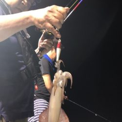 海龍丸（石川） 釣果