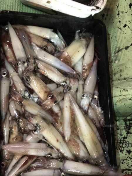 海龍丸（石川） 釣果