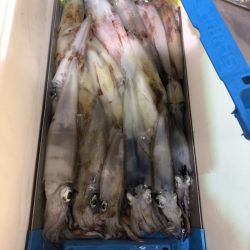 海龍丸（石川） 釣果