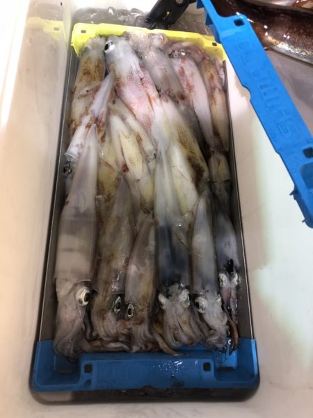 海龍丸（石川） 釣果