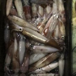 海龍丸（石川） 釣果