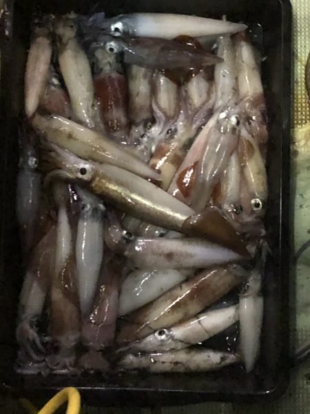 海龍丸（石川） 釣果