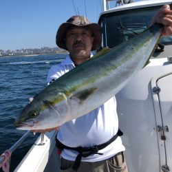 ビッグファイター 釣果