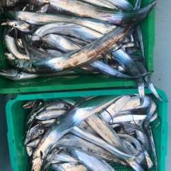 岡田釣船　八英丸 釣果