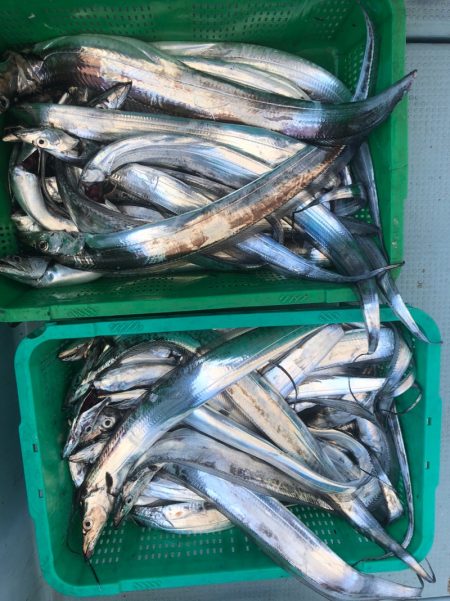 岡田釣船　八英丸 釣果