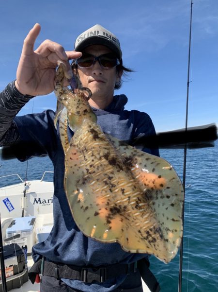 きずなまりん 釣果