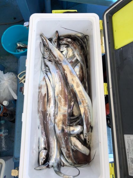 ヤザワ渡船 釣果