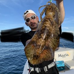 きずなまりん 釣果