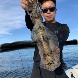 きずなまりん 釣果