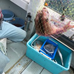 フィッシング　キッタカ 釣果