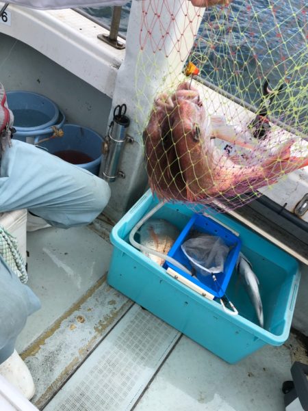 フィッシング　キッタカ 釣果