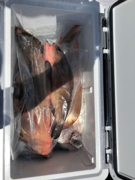 フィッシング　キッタカ 釣果