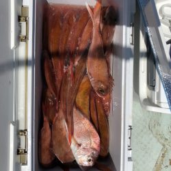 フィッシング　キッタカ 釣果