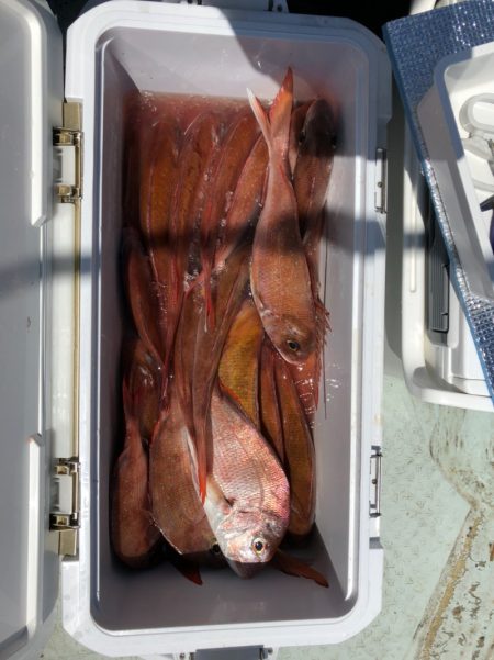 フィッシング　キッタカ 釣果