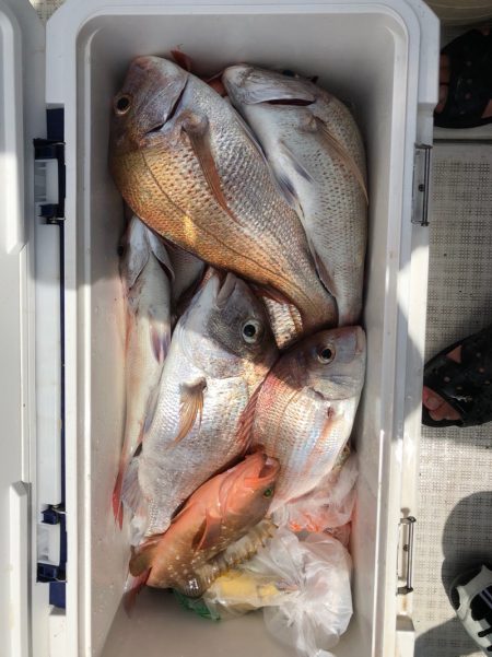 フィッシング　キッタカ 釣果