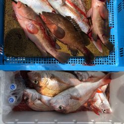 フィッシング　キッタカ 釣果