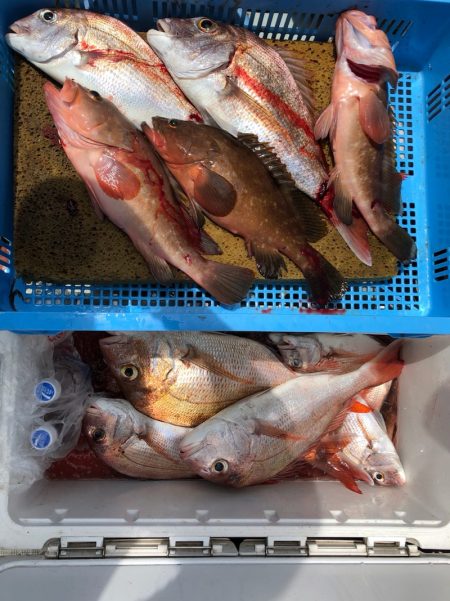 フィッシング　キッタカ 釣果