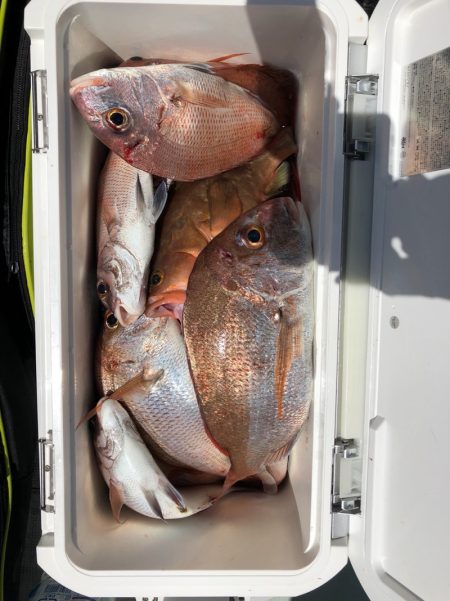 フィッシング　キッタカ 釣果