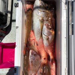 フィッシング　キッタカ 釣果