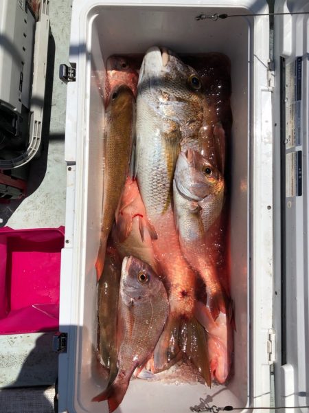 フィッシング　キッタカ 釣果