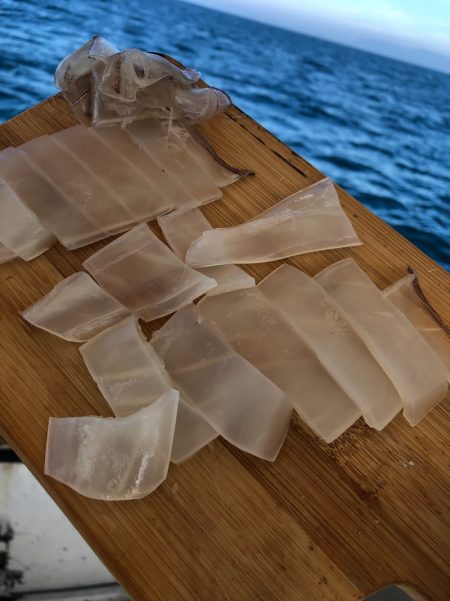 末広丸(熊本) 釣果