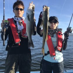 アマテラス 釣果