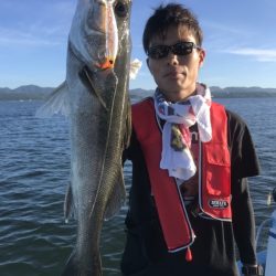 アマテラス 釣果