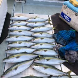 エムズジャーク(M’s JERK) 釣果