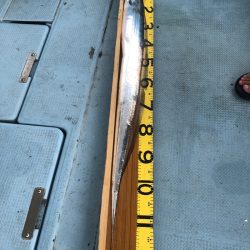 岡田釣船 八英丸 釣果