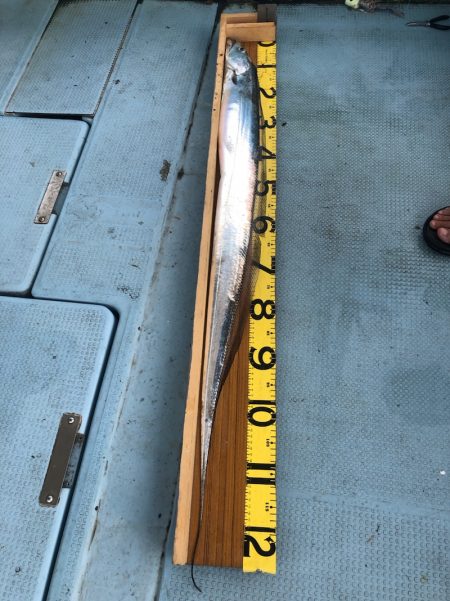 岡田釣船 八英丸 釣果