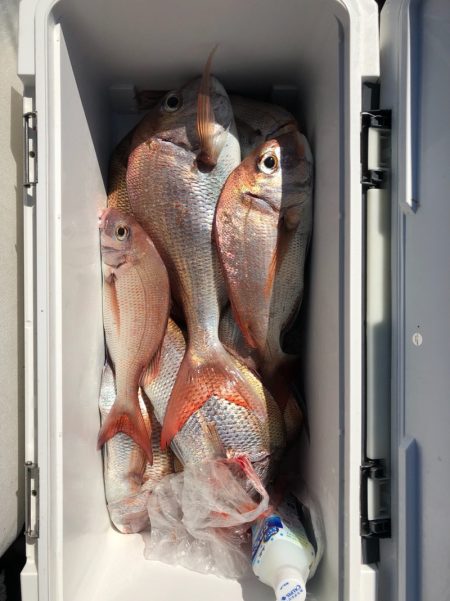 フィッシング　キッタカ 釣果