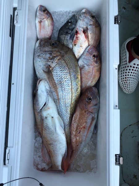 フィッシング　キッタカ 釣果