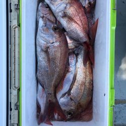 フィッシング　キッタカ 釣果