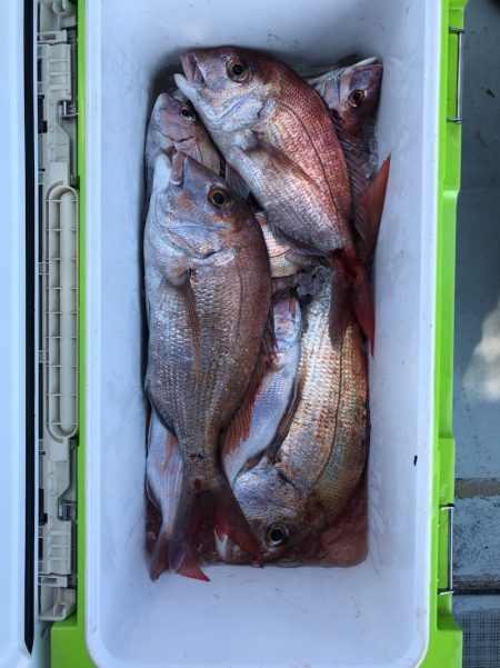 フィッシング　キッタカ 釣果