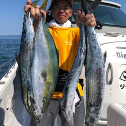 ビッグファイター 釣果