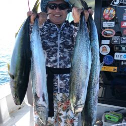 ビッグファイター 釣果