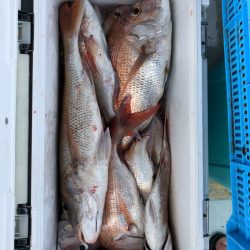 フィッシング キッタカ 釣果