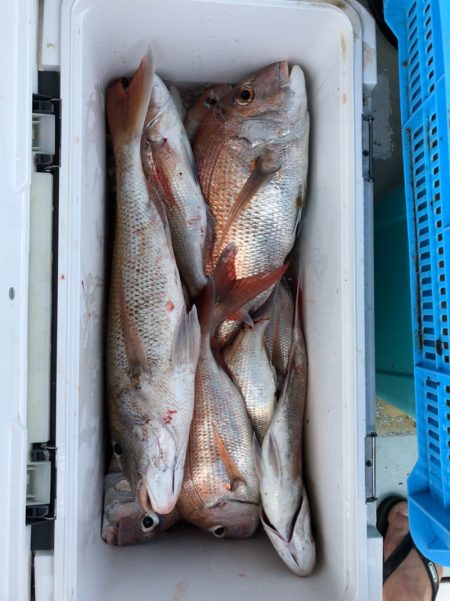 フィッシング キッタカ 釣果