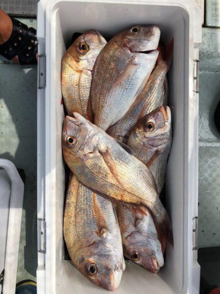 フィッシング キッタカ 釣果