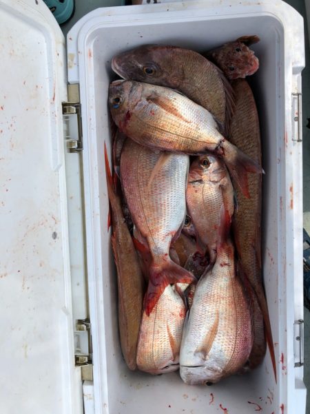 フィッシング キッタカ 釣果